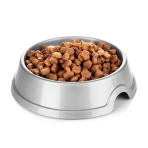dogs cookies and cream