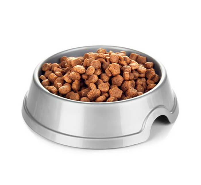 dogs cookies and cream - Image 7